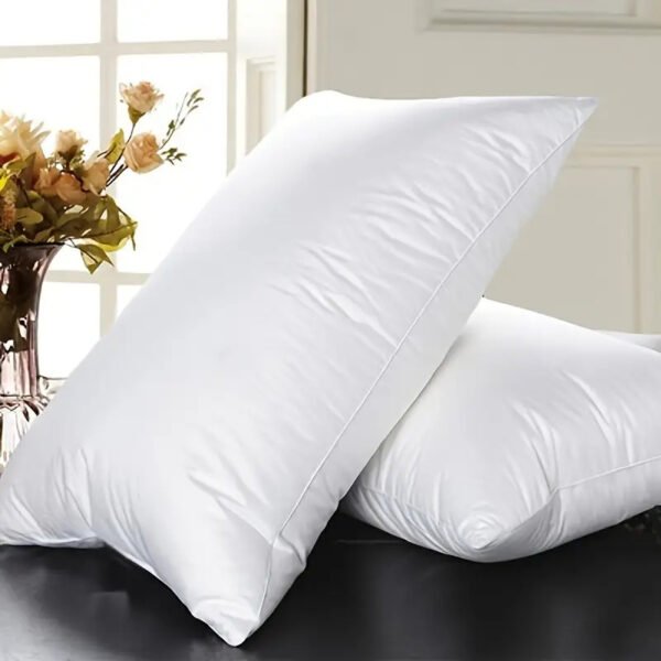 Decorative and Soft Pillow