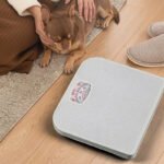 Dual Scale Analog Bathroom Weight Scale