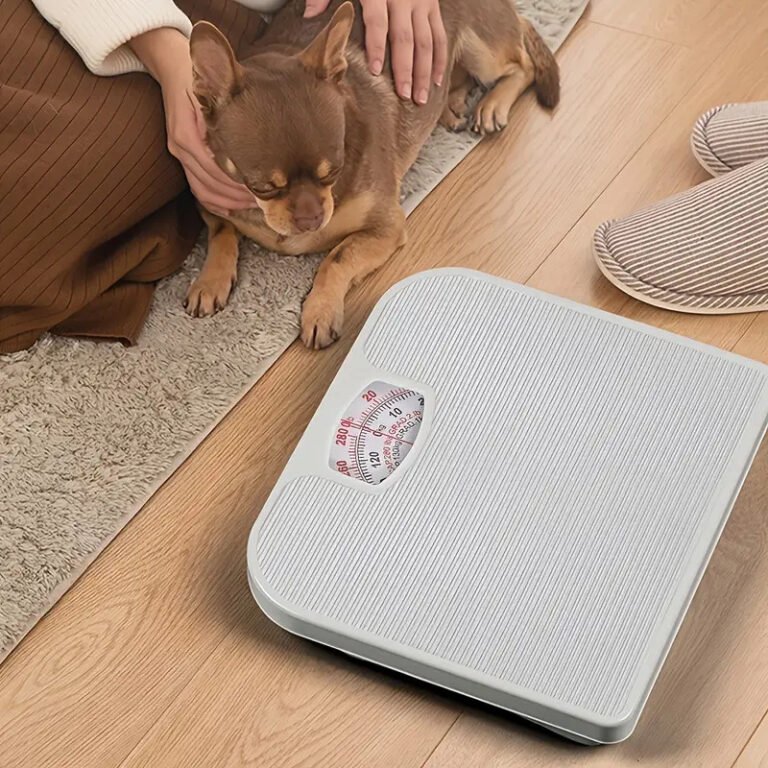 Dual Scale Analog Bathroom Weight Scale