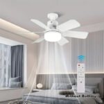 Modern Ceiling Fan with Remote Control