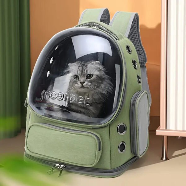 Pet Cat Carrier