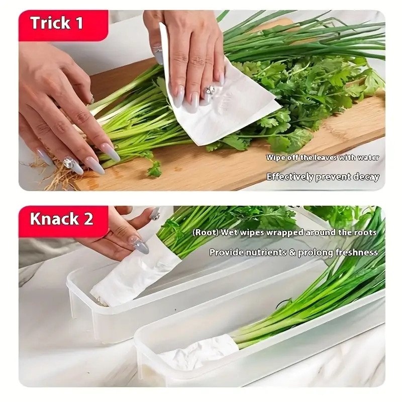 10pcs Vegetable Fresh Keeping Box 21