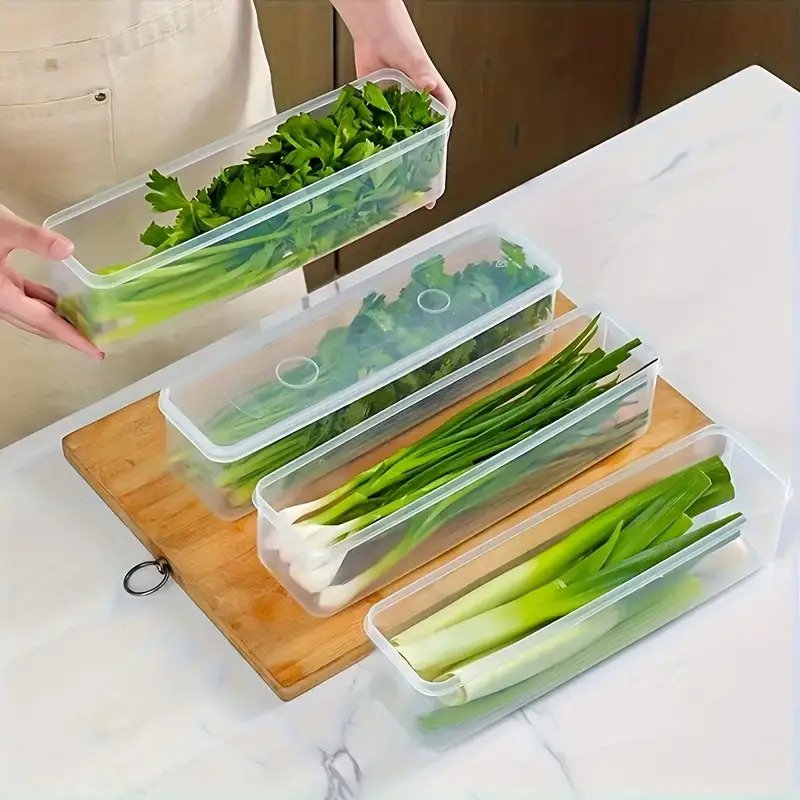 10pcs Vegetable Fresh Keeping Box 