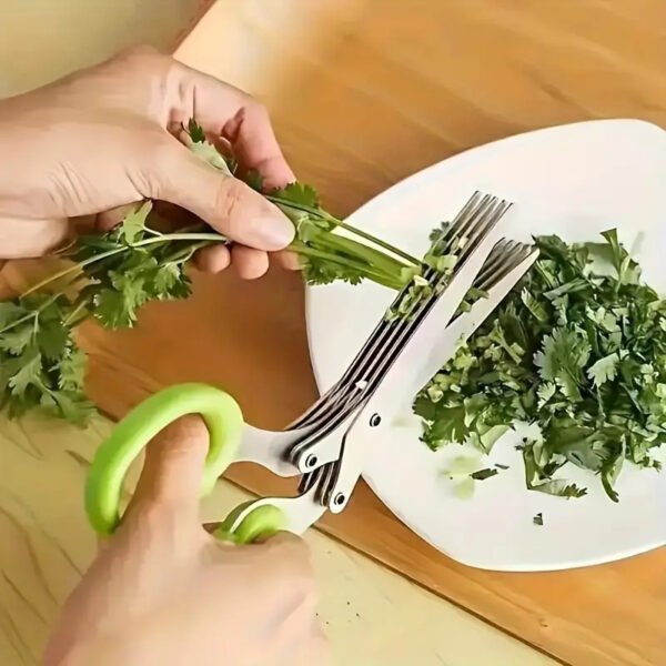 5 Layered Stainless Steel Kitchen Scissors