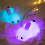 1 Jade Rabbit Silicone Night Light