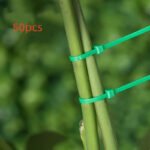 Green Plastic Plant Ties