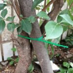 Green Plastic Plant Ties