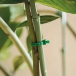 Green Plastic Plant Ties