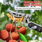 High Altitude Pruning Shears
