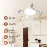 LED Smart Ceiling Fan Light