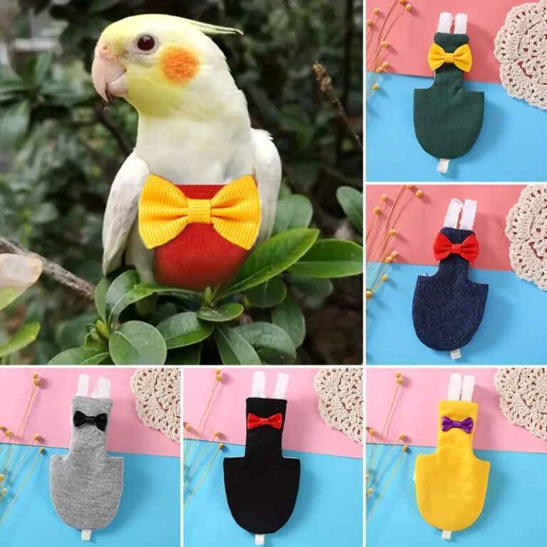 1pc Adorable Parrot Flight Suit