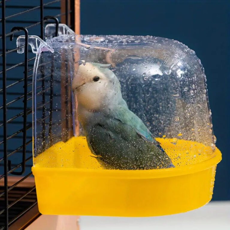 1pc Clear Bird Bathtub