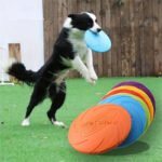 1pc Plain Color Pet Training Flying Disc
