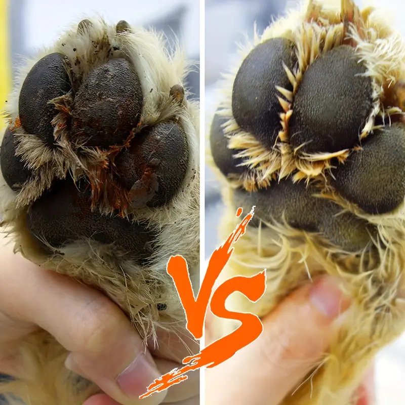 1pc Portable Pet Foot Washing Cup