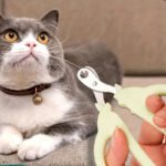 1pc Professional Cat Nail Clippers