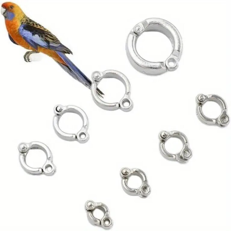 2Pcs Stainless Steel Bird Leg Bands