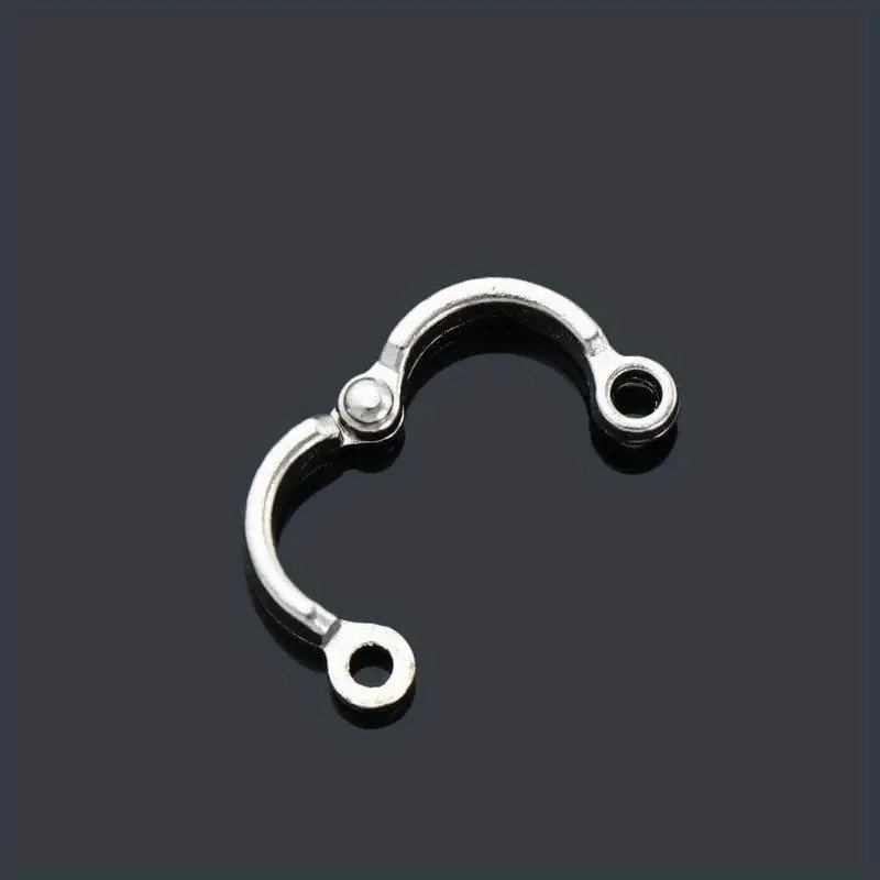 2Pcs Stainless Steel Bird Leg Bands