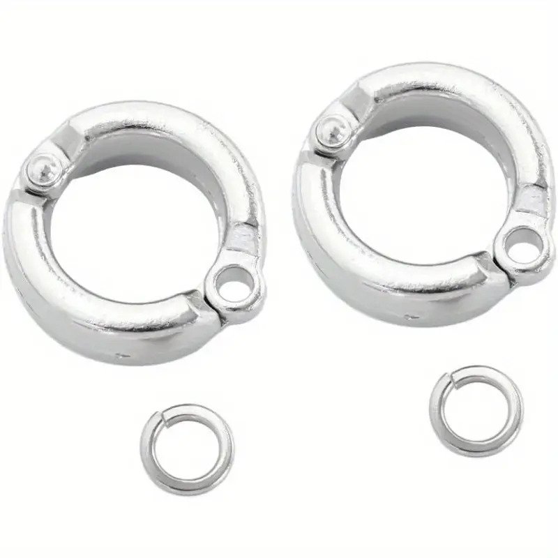 2Pcs Stainless Steel Bird Leg Bands