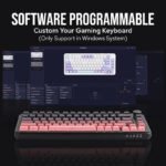 AK820MAX HE Wired Gaming Keyboard