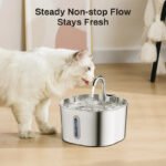 Cat Artesian Water Fountain
