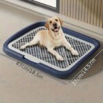 Dog Potty Training Toilet