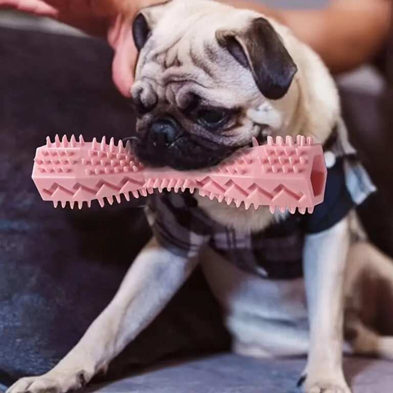 Dog Toothbrush Soft Toy