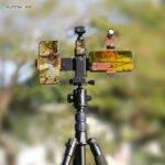 Dual Phone Mount Live Streaming Video Stand