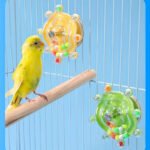 Interactive Rotating Bird Chew Toy