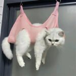 Multi Functional Pet Beauty Hammock