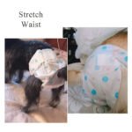 Pet Diapers with Leak Proof Design