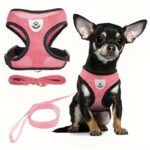 Pet Harness And Leash Set