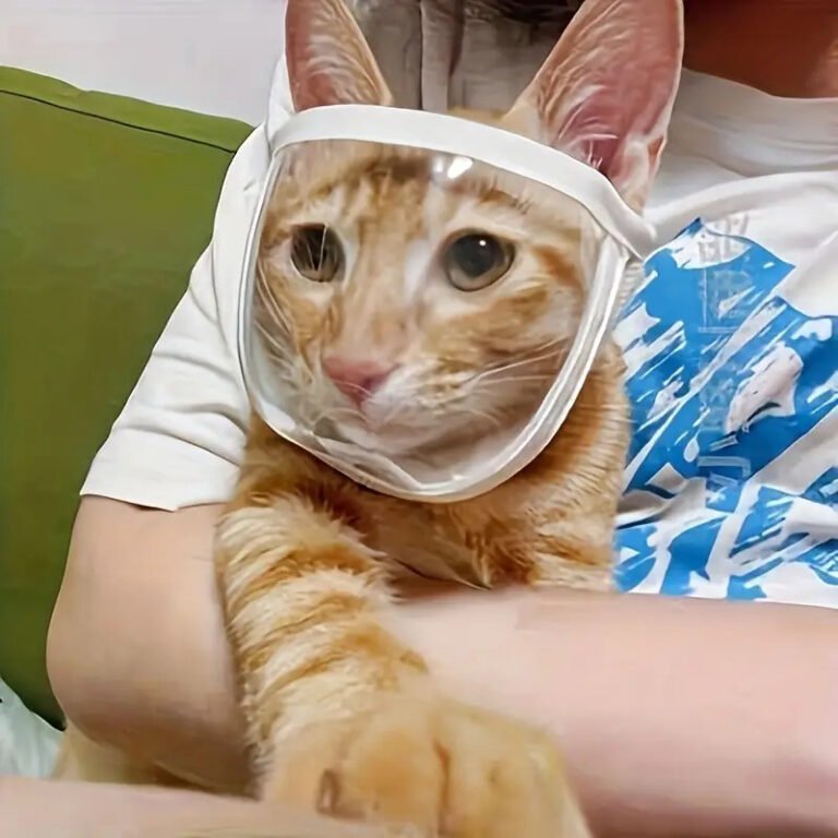 Pet Transparent Mouth Cover