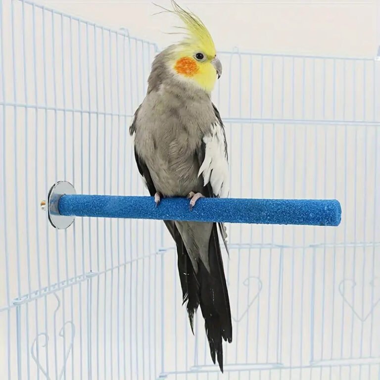 Wooden Bird Perch Station Rod